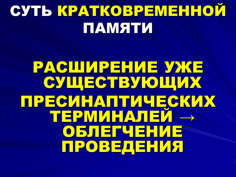 СУТЬ КРАТКОВРЕМЕННОЙ ПАМЯТИ  РАСШИРЕНИЕ УЖЕ СУЩЕСТВУЮЩИХ  ПРЕСИНАПТИЧЕСКИХ ТЕРМИНАЛЕЙ → ОБЛЕГЧЕНИЕ ПРОВЕДЕНИЯ
